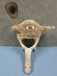 Native Bone Carving
