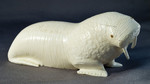 Native Ivory