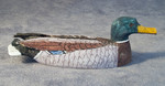 Alaskan Ivory