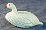 Alaskan Ivory