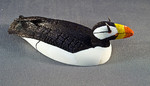 Alaskan Ivory