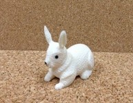 Native Ivory Carving